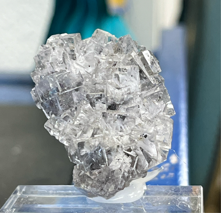 Fluorite transparente  Emilio mine Espagne FLS7