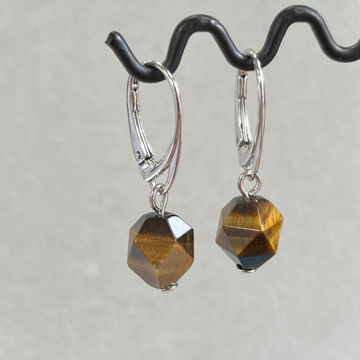 Earrings with tiger eye, in money
