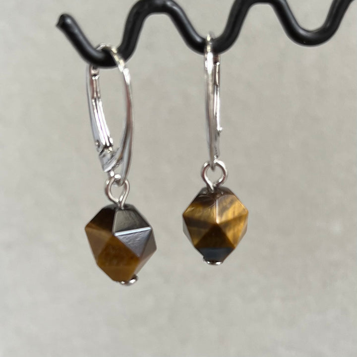 Earrings with tiger eye, in money
