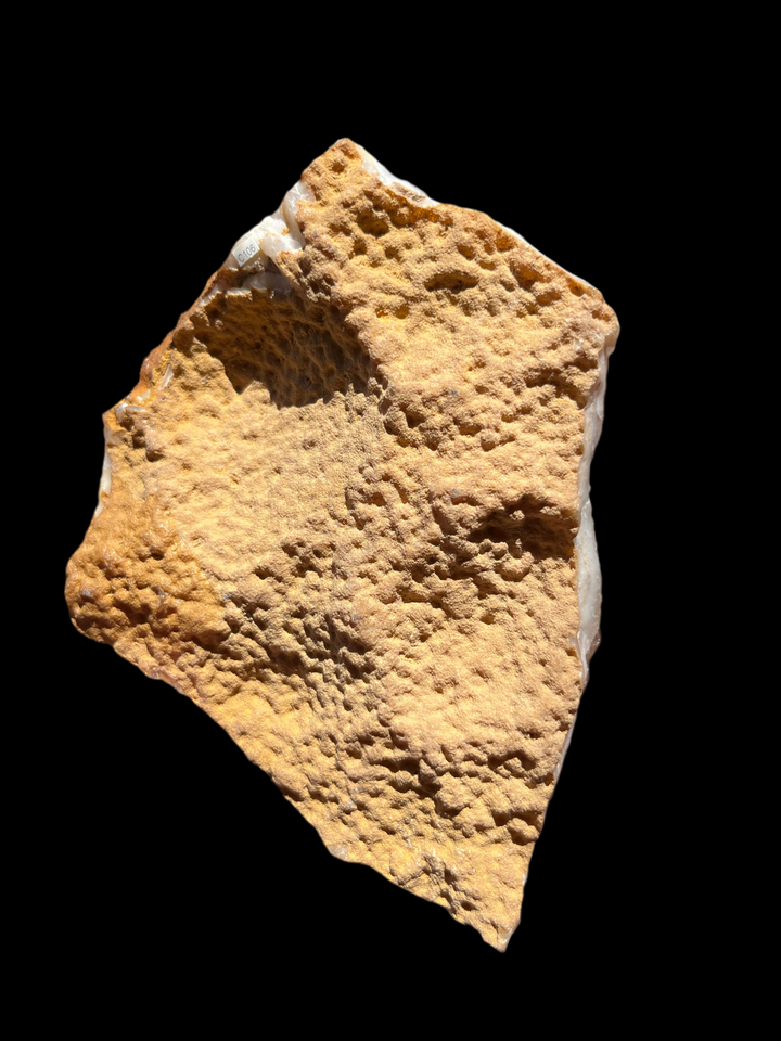 Fluorine verte bleue L’Avellan France C106