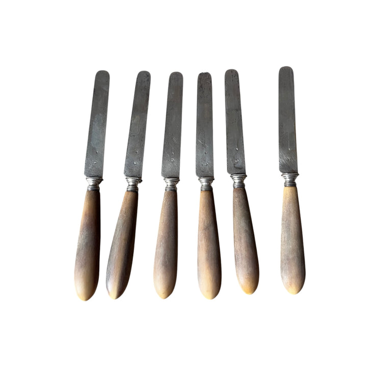 6 wooden handle dessert knives and silver blade