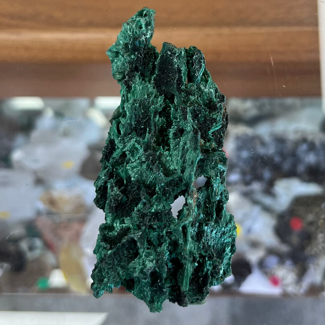 Malachite fibreuse Congo DW181