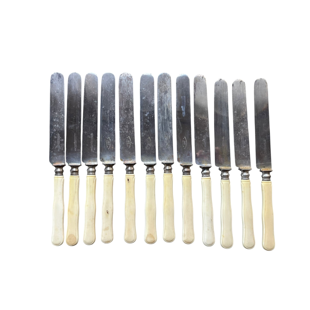 Household 24 knives XIXth Ivory Manche and steel PICQUETTE ARRAS