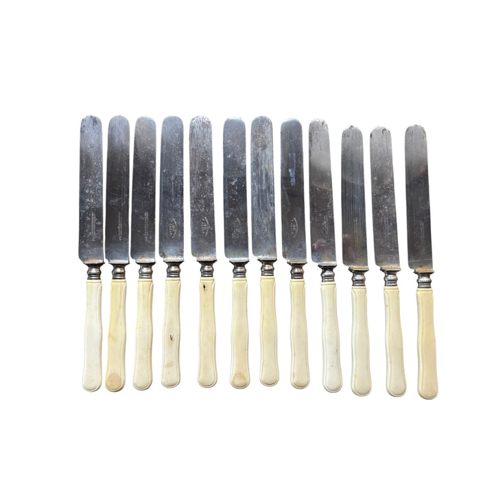 Household 24 knives XIXth Ivory Manche and steel PICQUETTE ARRAS