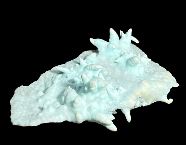 蓝色后者品种Zeiringite Slovakia M18E248