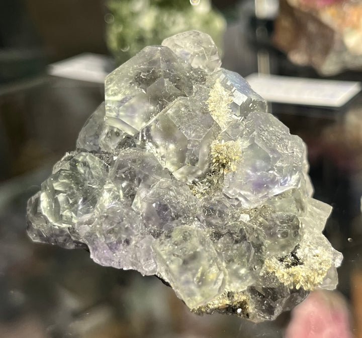 Violet Fluorit China M18W111