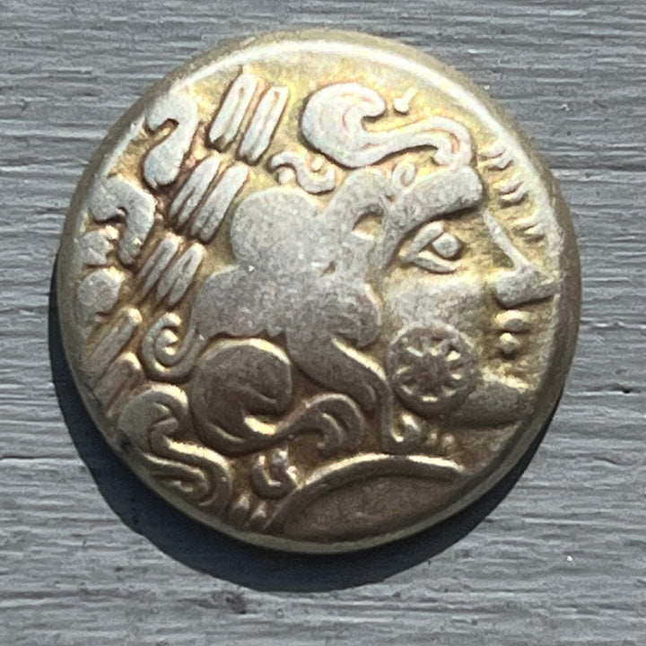hemistatere calète with the little head on the pike
