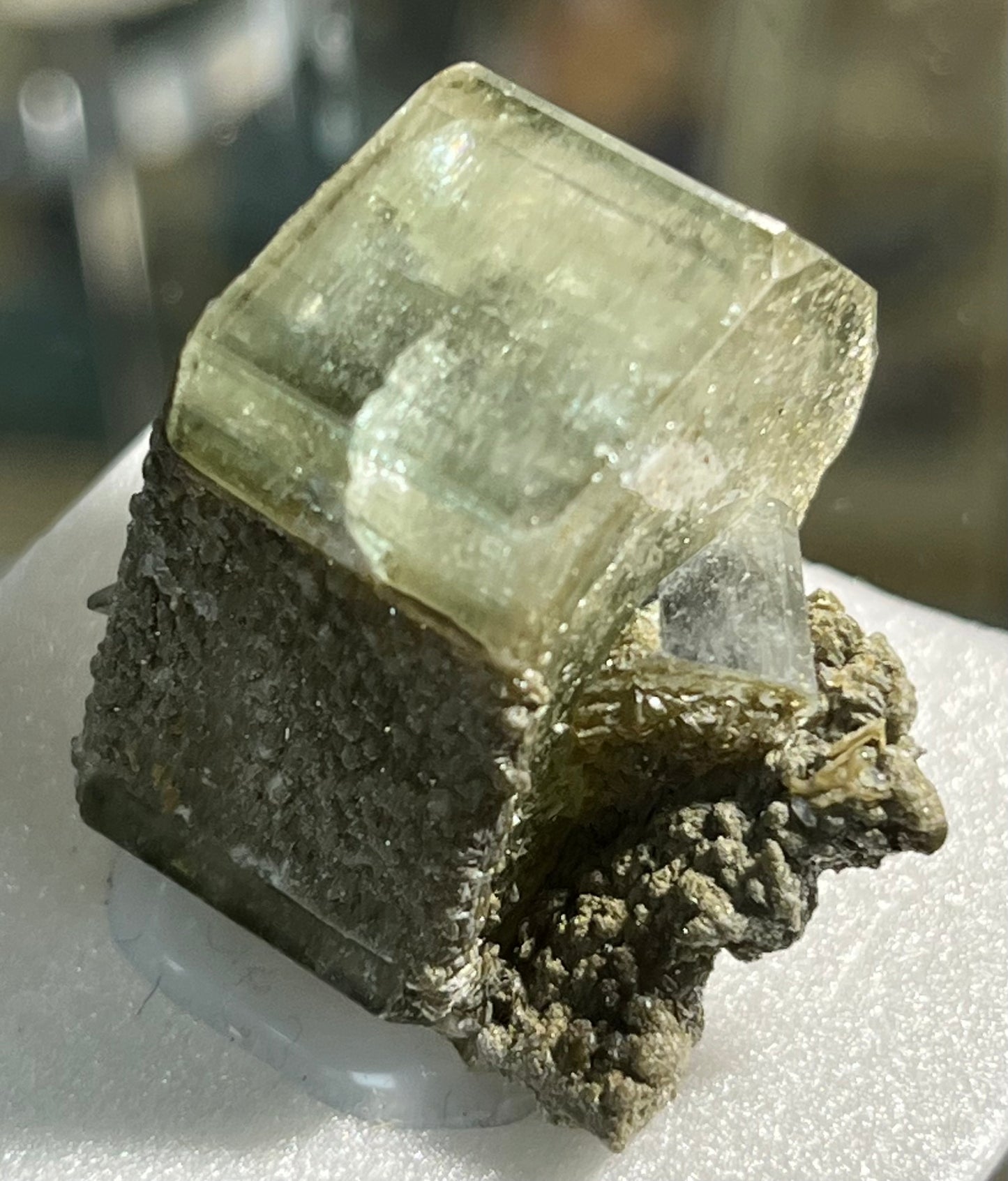 Fluorapatite Portugal PNQ54