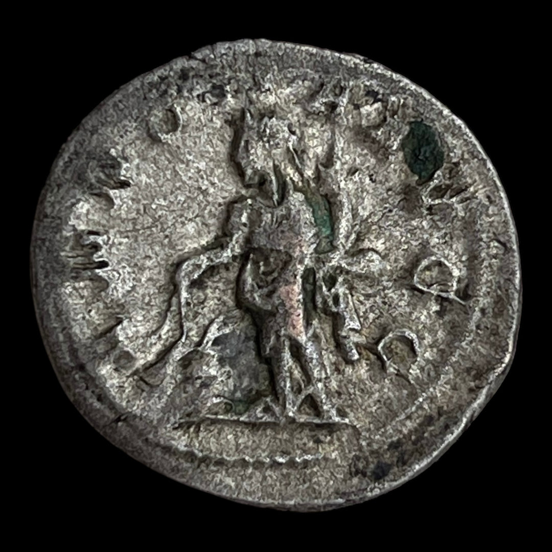Antoninian Philippe 1er announced Aug