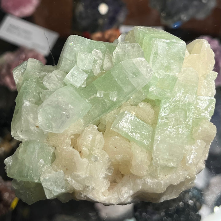Fluorapophyllite sur stilbite Inde M18W12