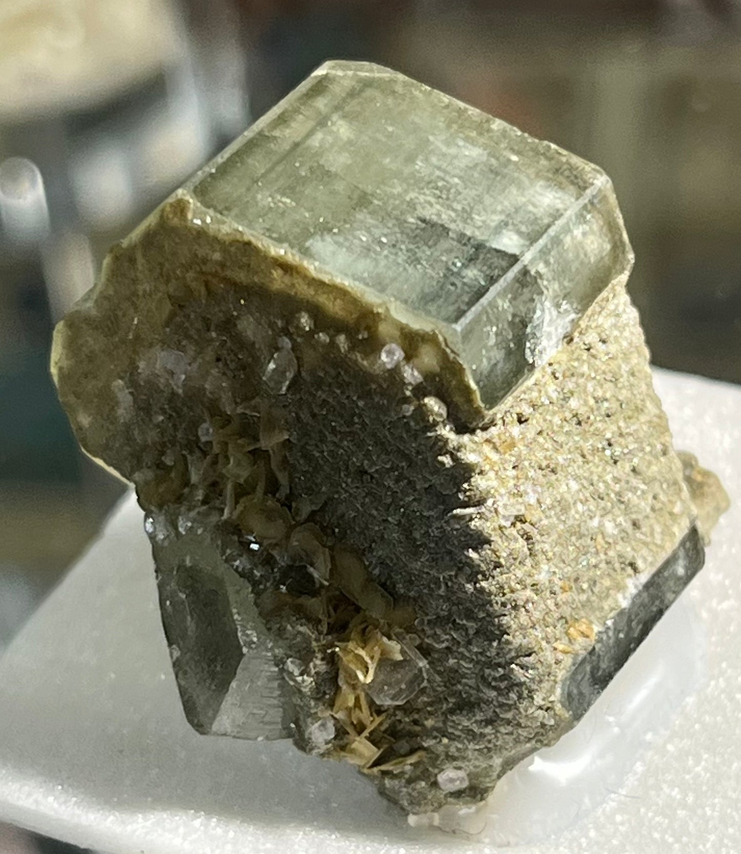 Fluorapatite Portugal PNQ54