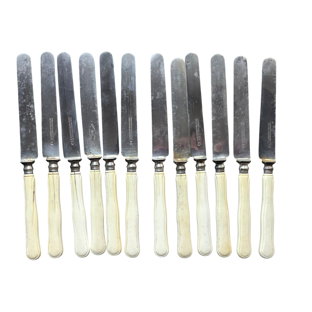 Household 24 knives XIXth Ivory Manche and steel PICQUETTE ARRAS