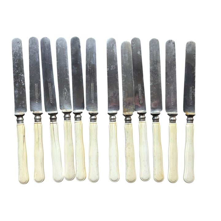 Household 24 knives XIXth Ivory Manche and steel PICQUETTE ARRAS