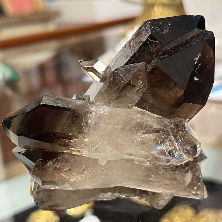 Quartz fumé bidéterminé Brésil QTZ31