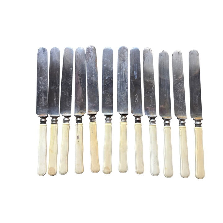 Household 24 knives XIXth Ivory Manche and steel PICQUETTE ARRAS