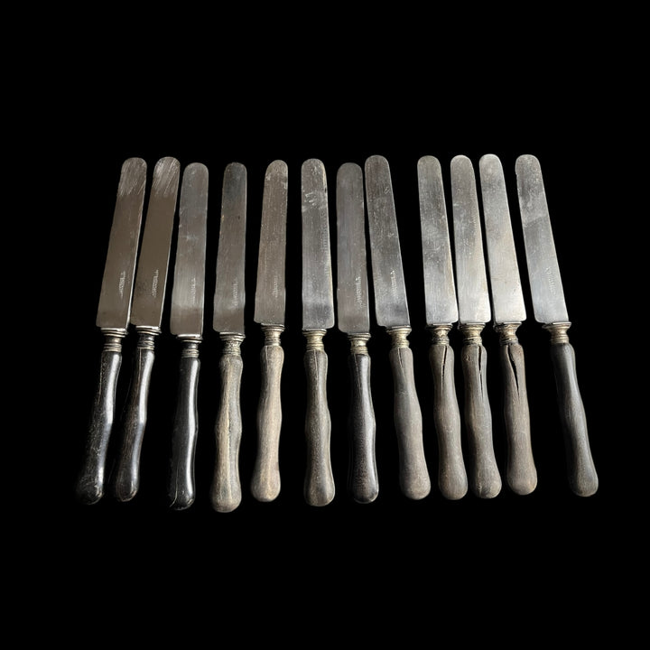 12 knives in ebony and bourbonne steel blade 19th century