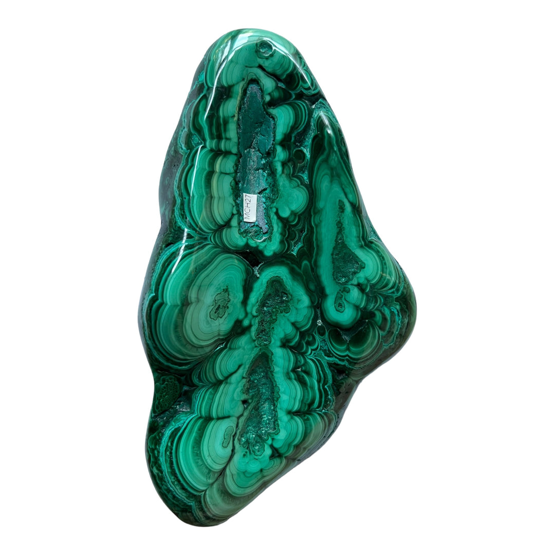 Malchite Congo MCH27