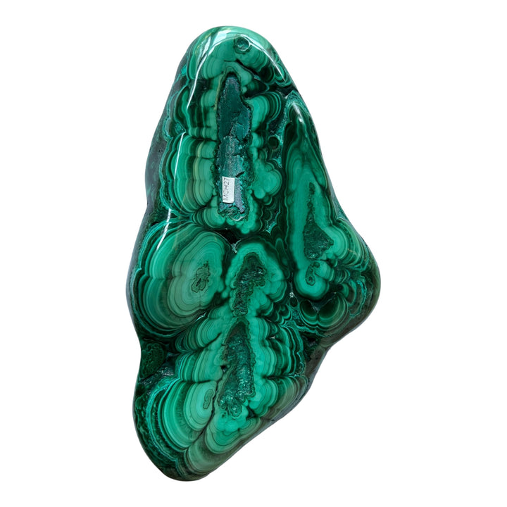 Malchite Congo MCH27