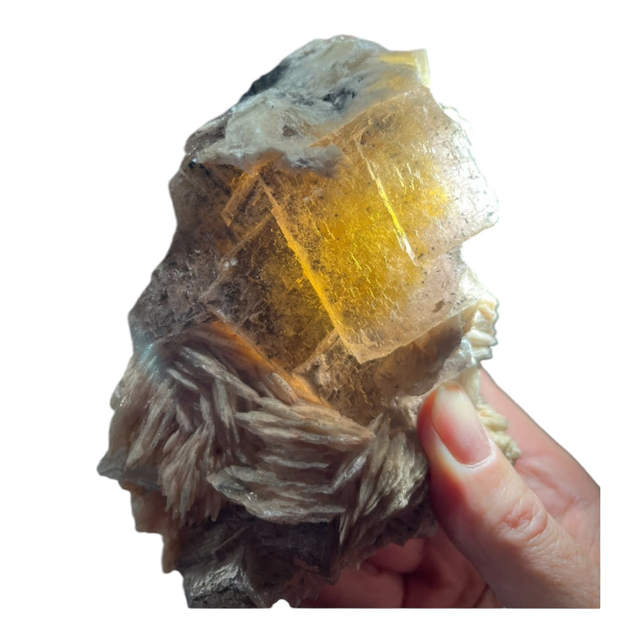 Fluor mit Baryte Chaillac France DR218