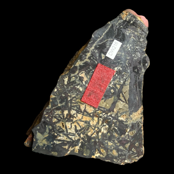 Pyrite Toscane Italie DW216