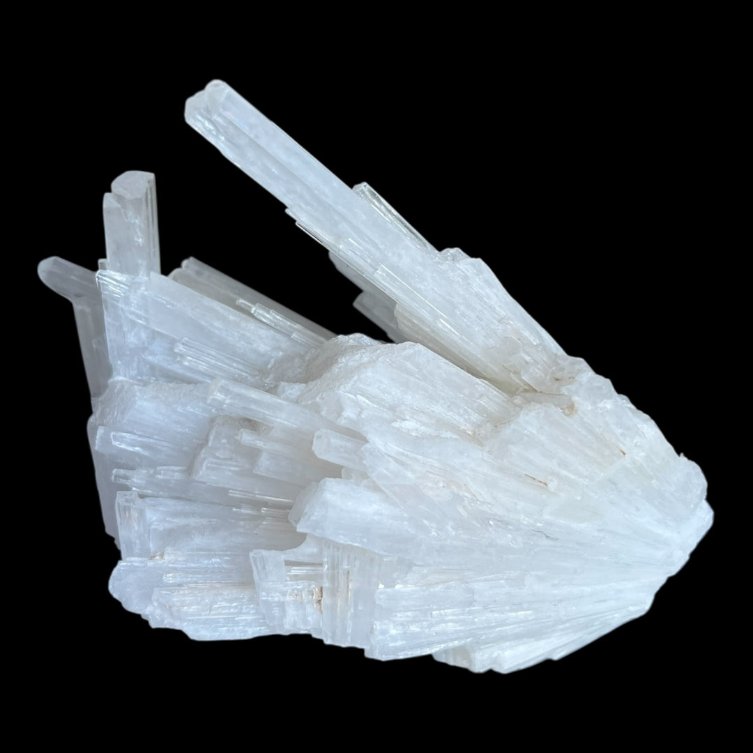 SCOLECITE Mumbai Inde M18W106