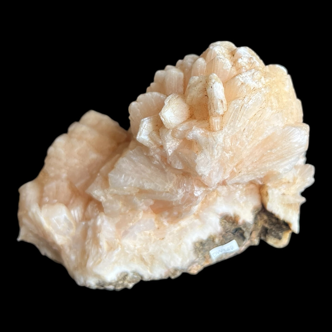 Stellerite Maharashtra India DW149