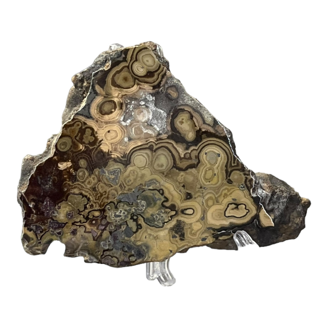 Schalenblende Polen SHB64