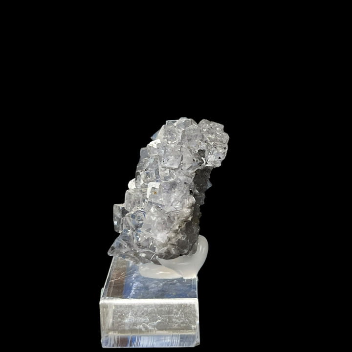 Fluorite transparente  Emilio mine Espagne FLS7