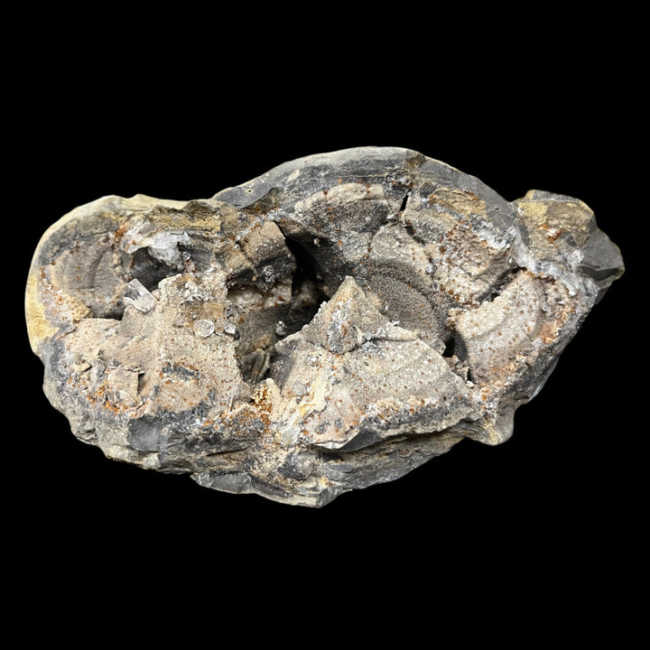 Diamantquarz in Septaria Haues Alpes Frankreich DB31