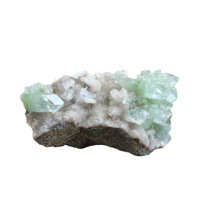 Fluorapophylitte verte stilbite Inde DR63