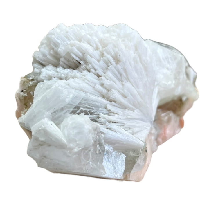 SCOLECITE et apophylite sur stilbite Maharashtra Inde M18W88