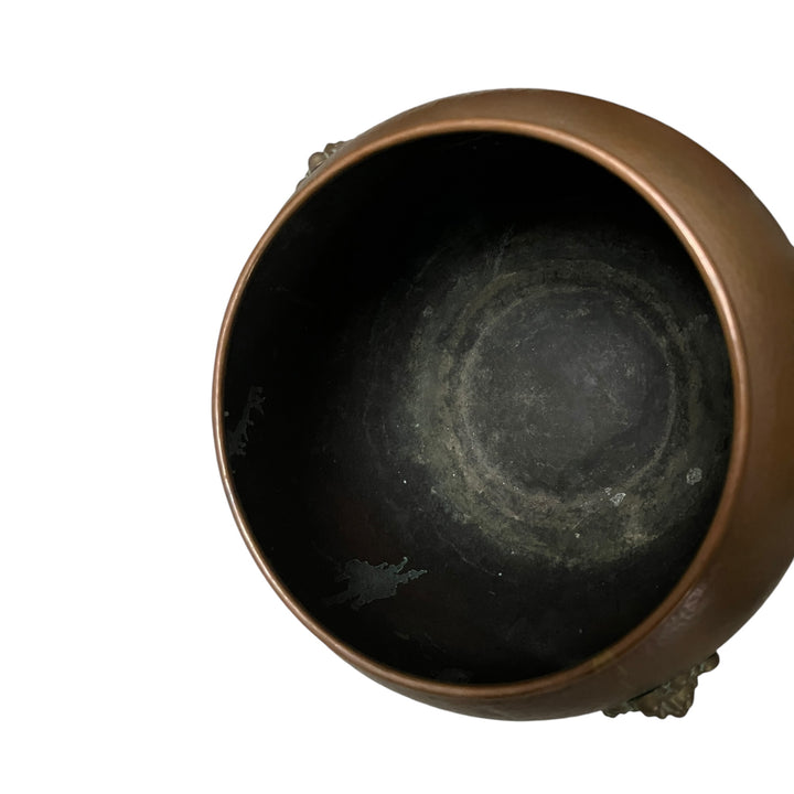 铜cacher处理狮子头