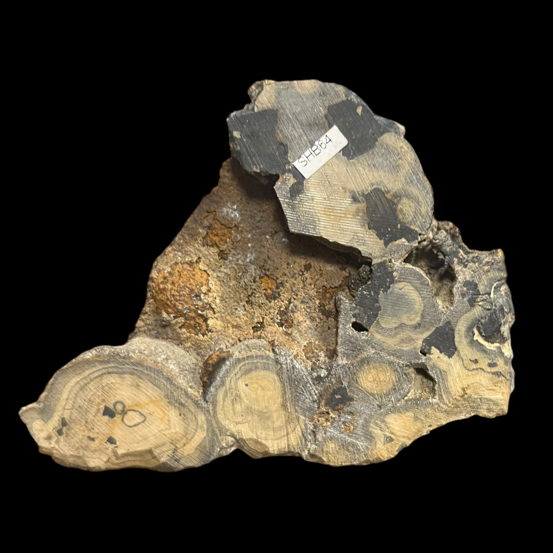 Schalenblende Polen SHB64