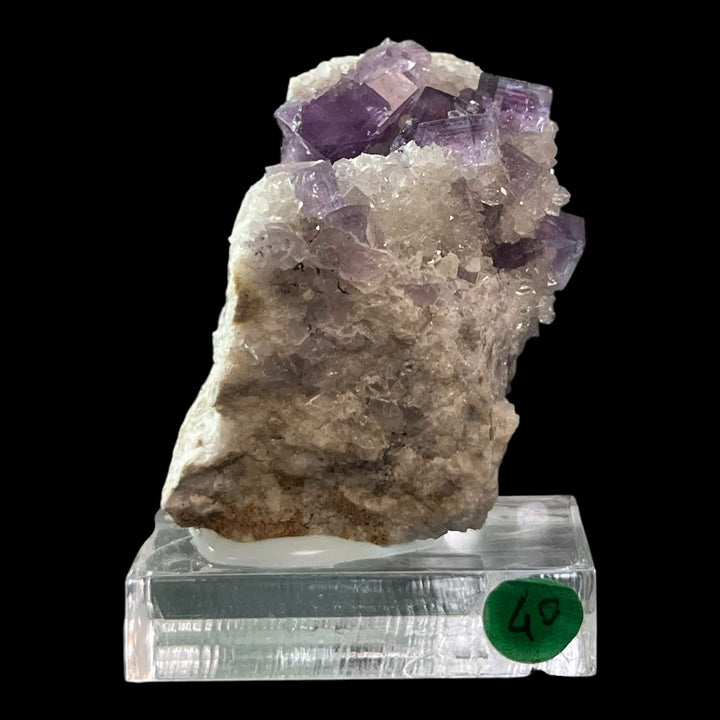 Fluorine Berbes Espagne FLS40