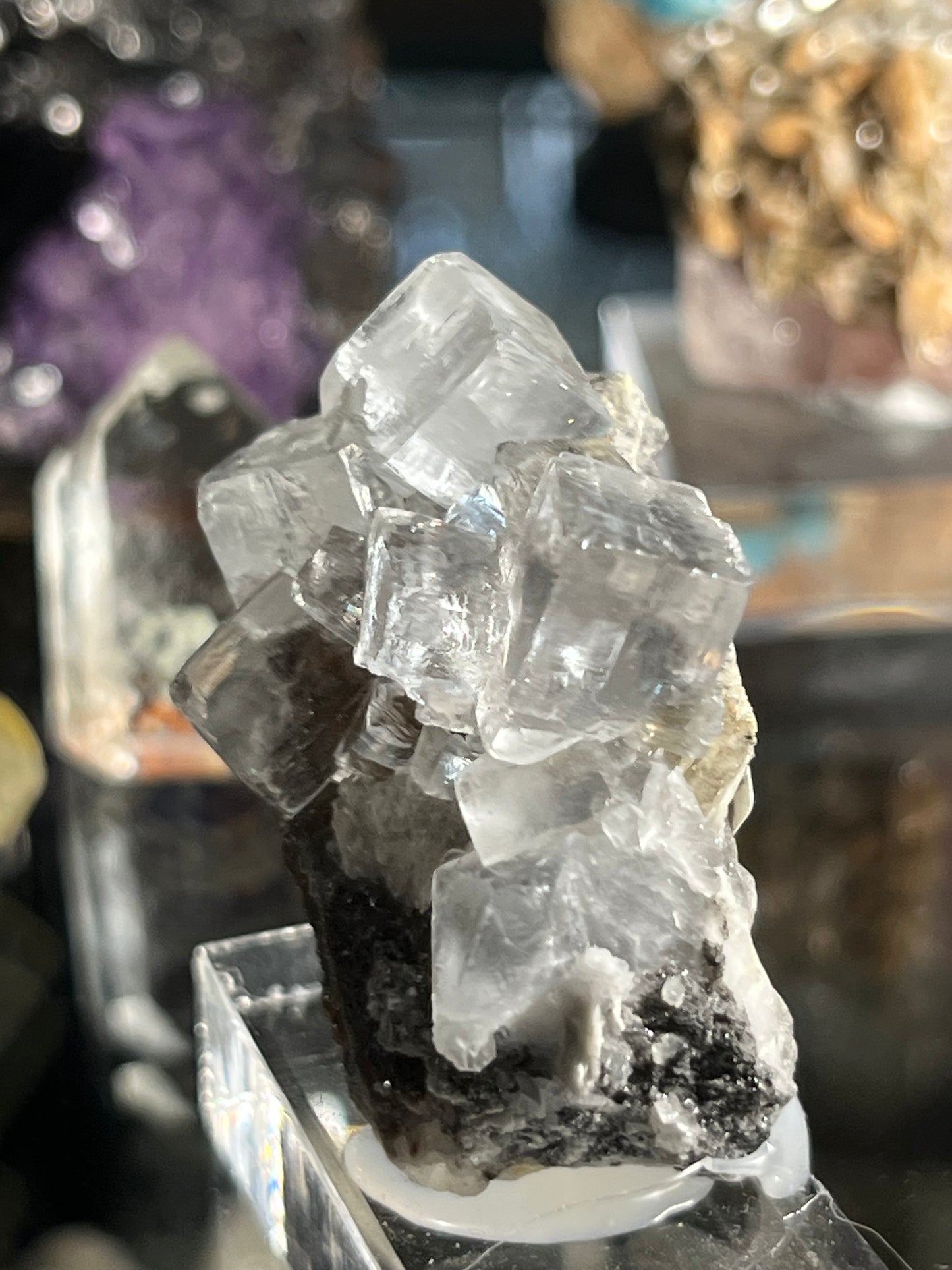 Fluorine incolore Espagne FLS23
