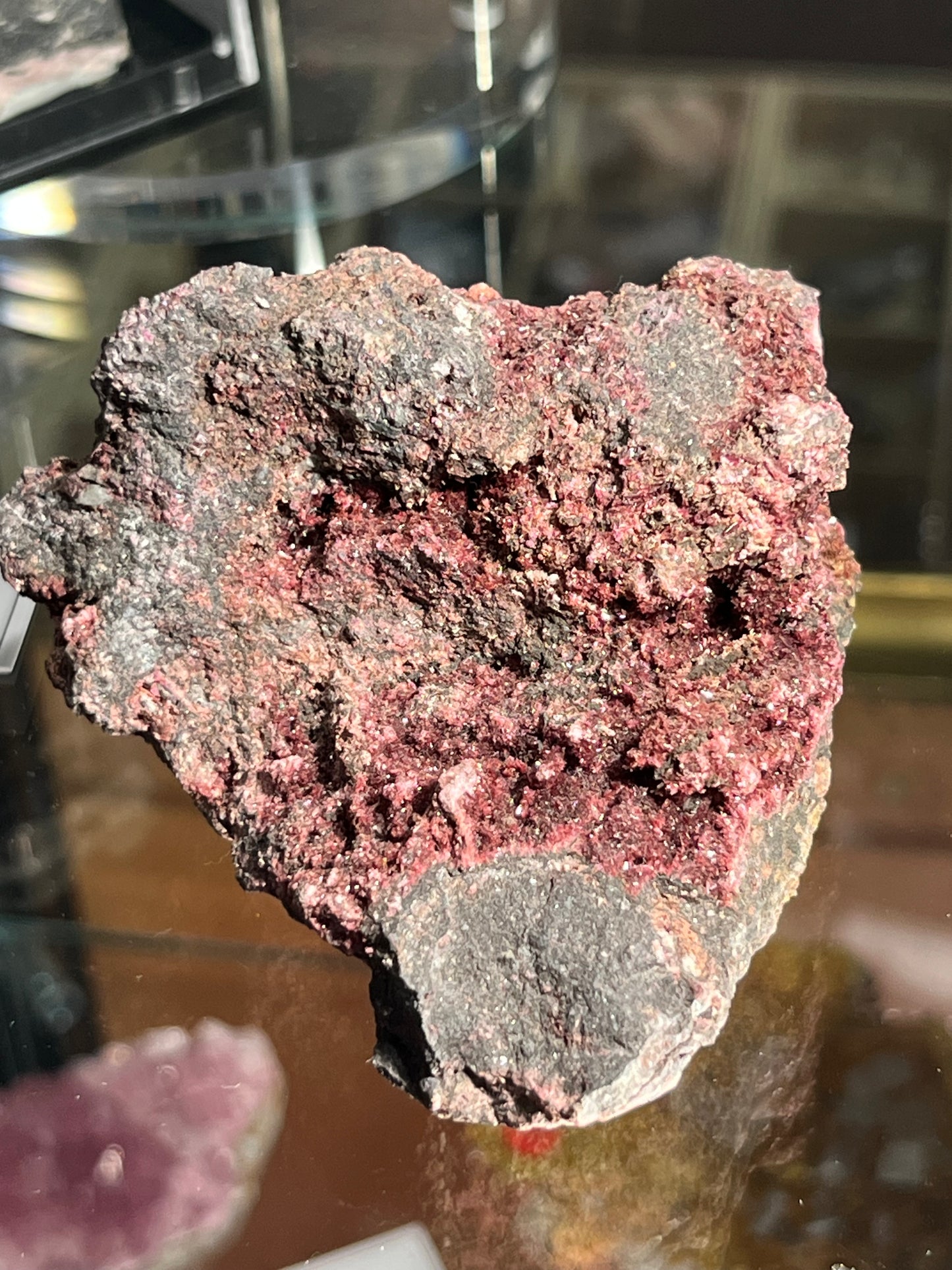 Erythrine Maroc DB136