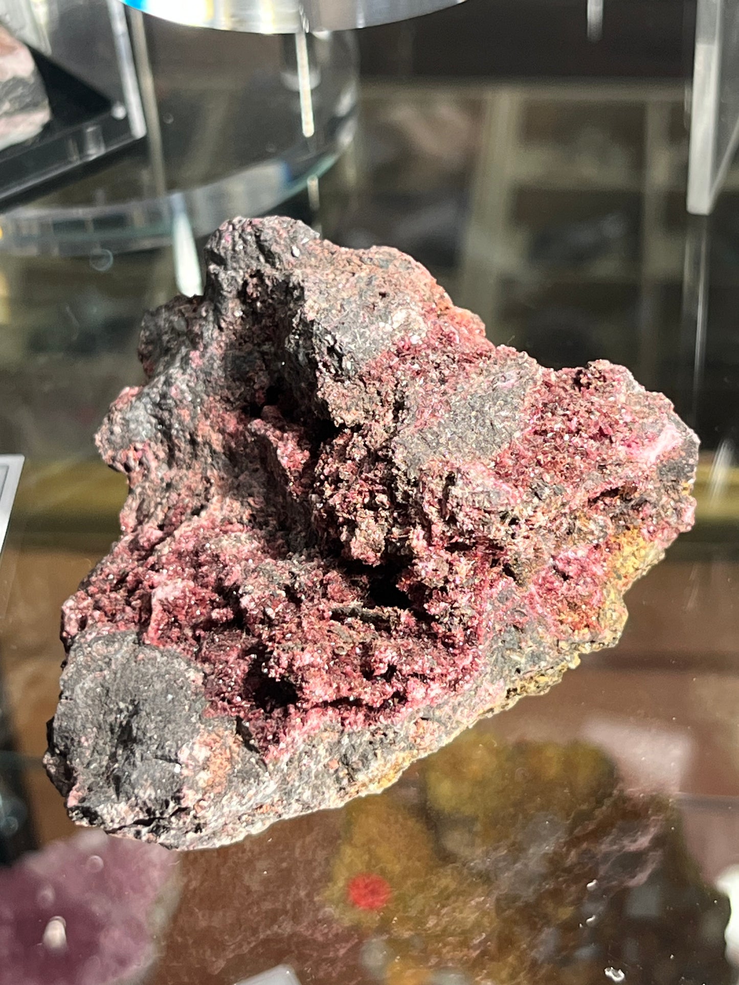 Erythrine Maroc DB136