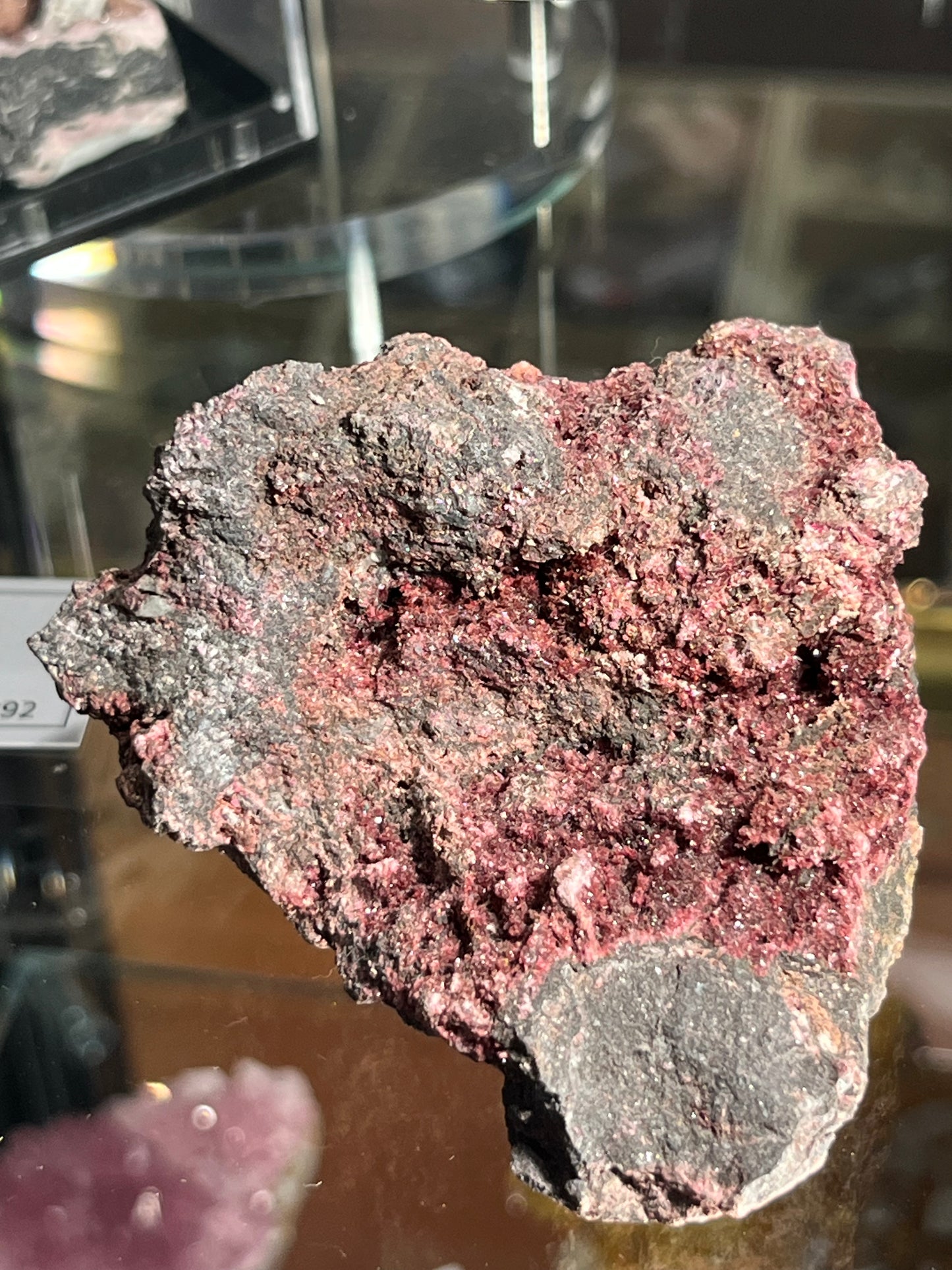 Erythrine Maroc DB136