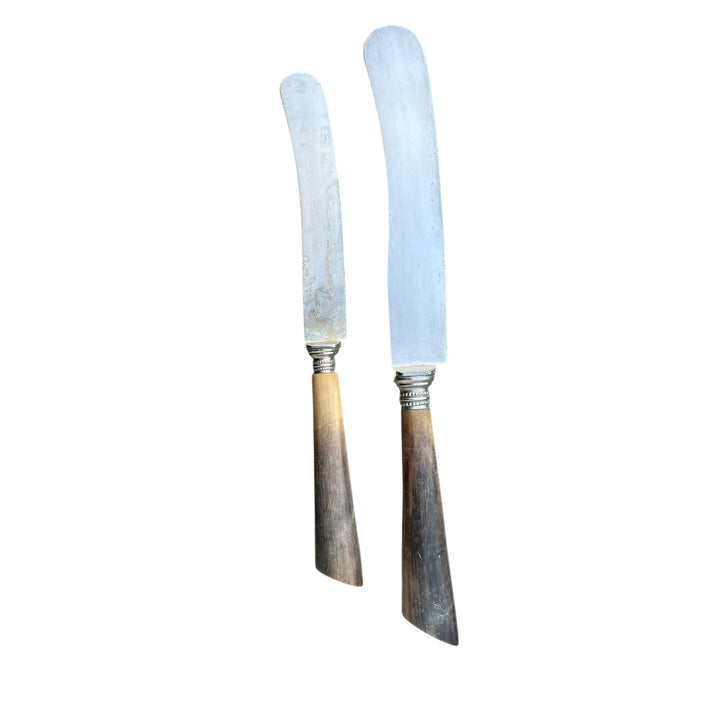 22 XIXth century knives Horn and steel blade A.FIST & CO SOLINGEN Luxembourg