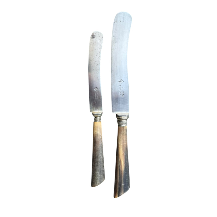22 XIXth century knives Horn and steel blade A.FIST & CO SOLINGEN Luxembourg