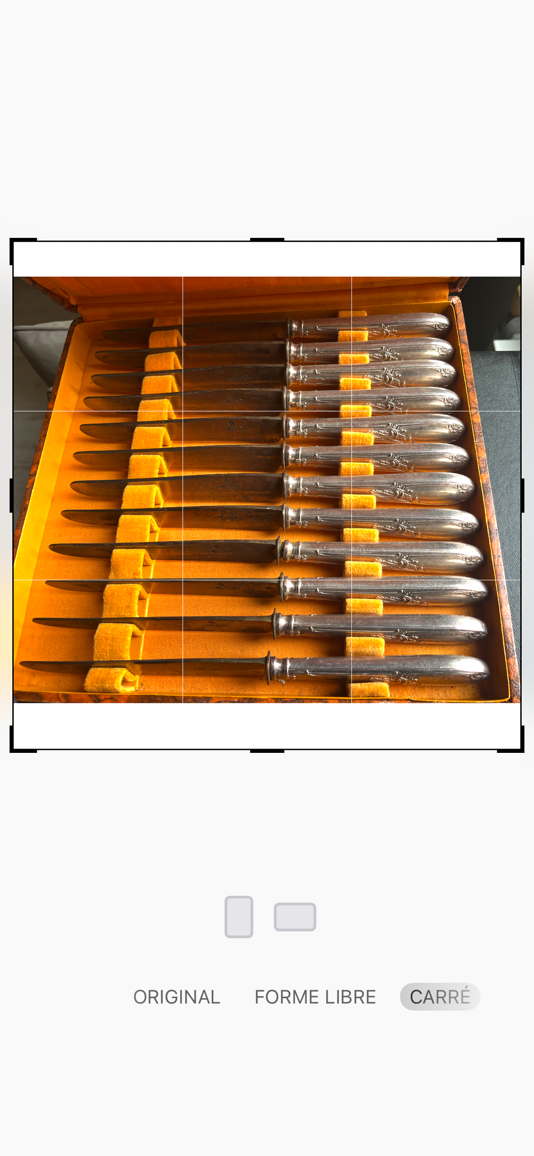 Apollo housewife 12 forks, 12 tablespoons and 24 knobs Silver Silver Model Title Model Rocaille and Steel blade in the Lion XIX