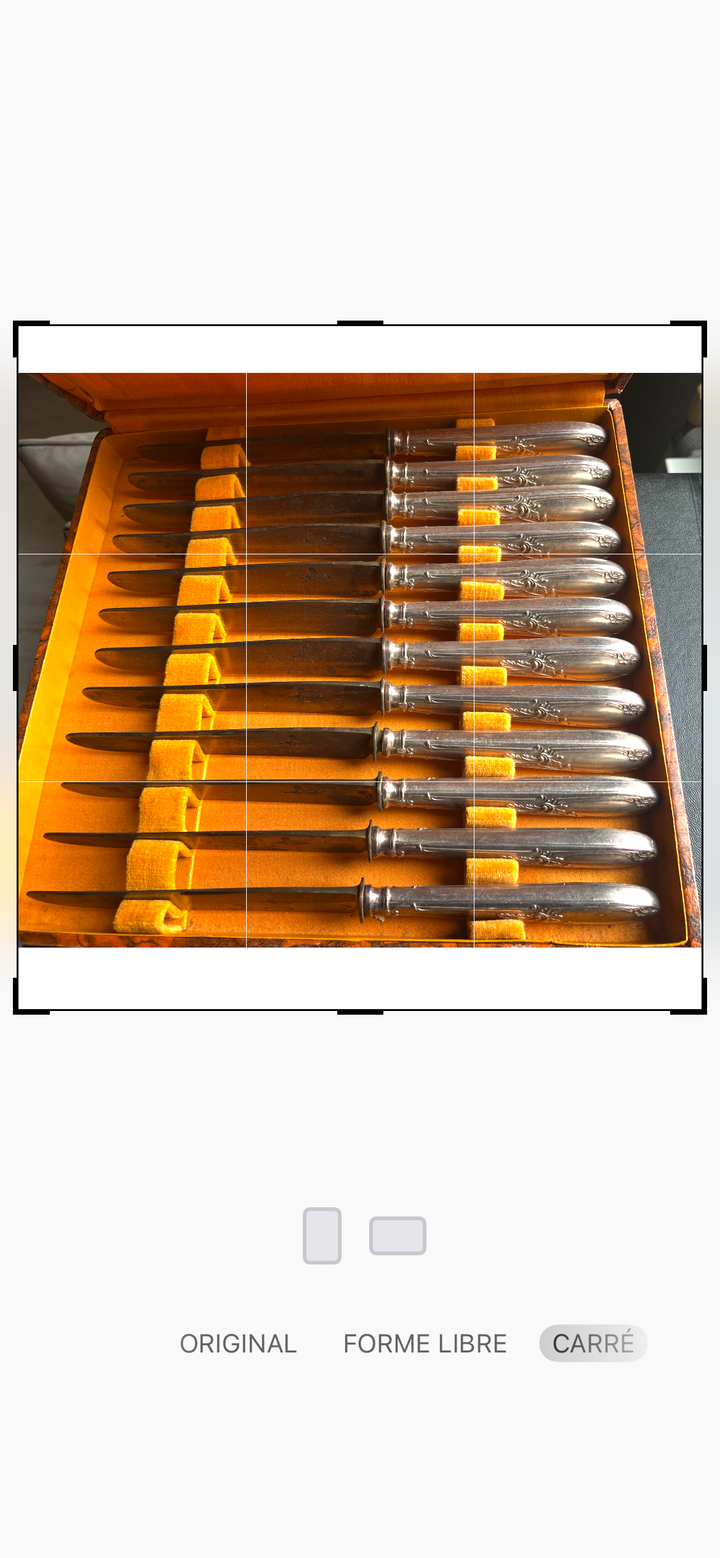 Apollo housewife 12 forks, 12 tablespoons and 24 knobs Silver Silver Model Title Model Rocaille and Steel blade in the Lion XIX