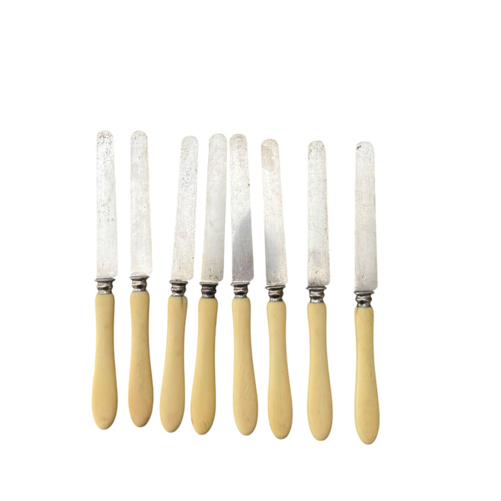 8 Sabatier dessert knives in ivory sleeve and silver blade Minerva punch