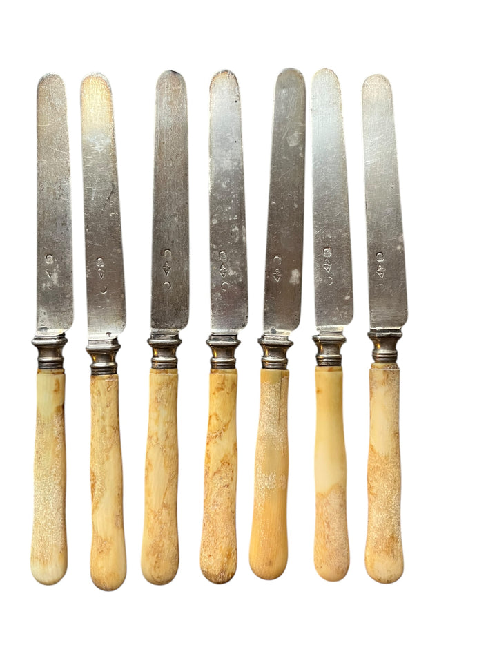 6 knives with an ivory sleeve dessert and old -fashioned silver blade paris