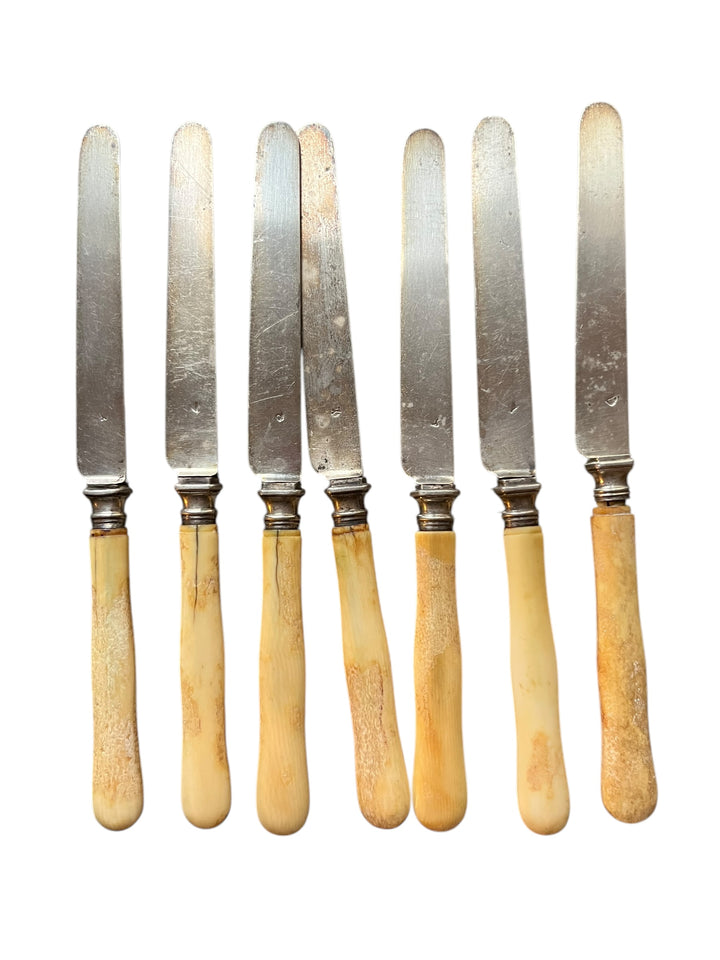 6 knives with an ivory sleeve dessert and old -fashioned silver blade paris