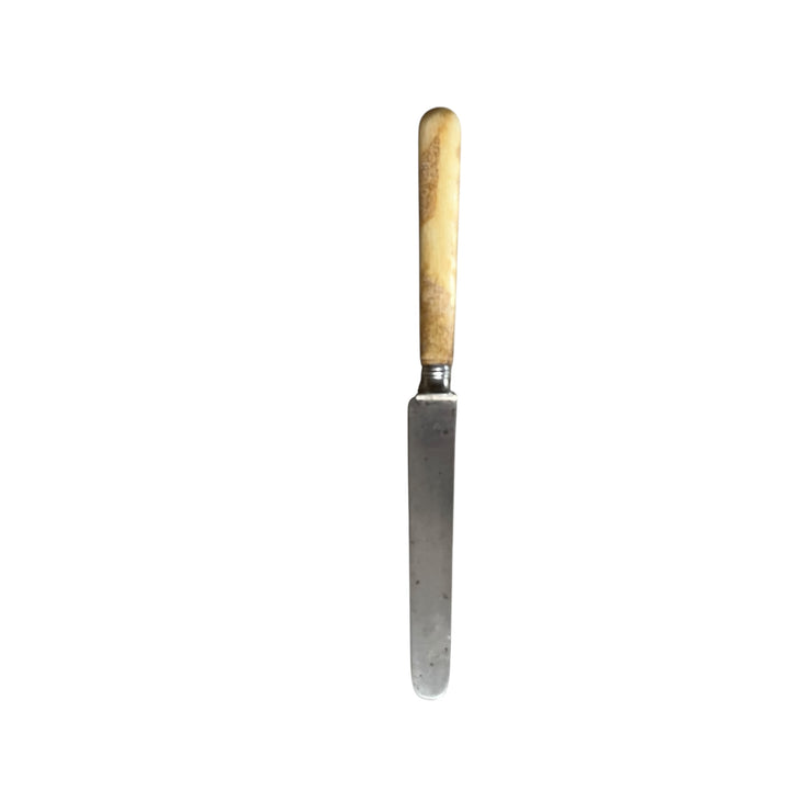 1 knife with a dessert Touron round in ivory and silver blade Paris