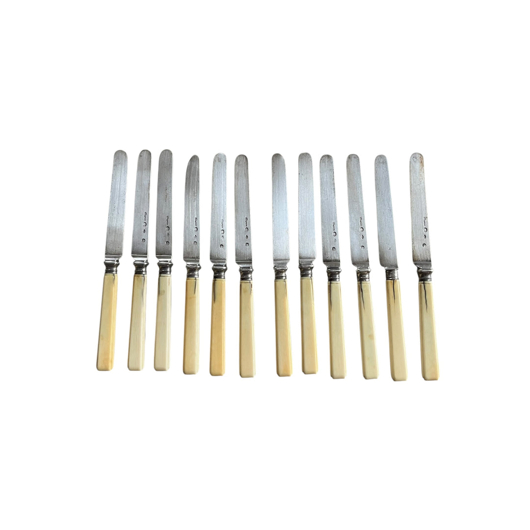 12 knives with a dessert Touron goldsmith of the king in ivory handle and silver blade old man paris