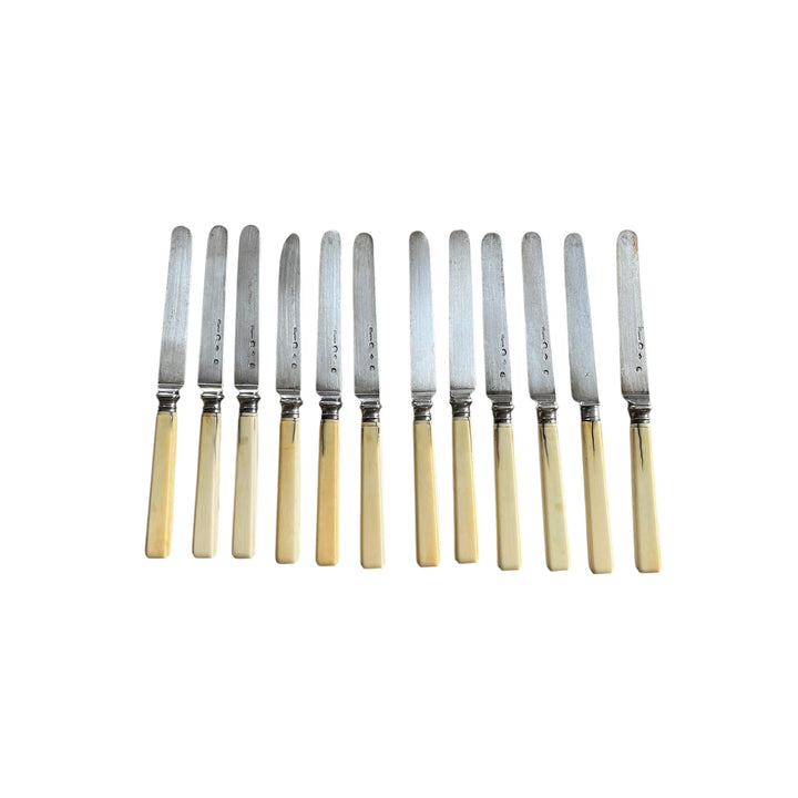 12 knives with a dessert Touron goldsmith of the king in ivory handle and silver blade old man paris