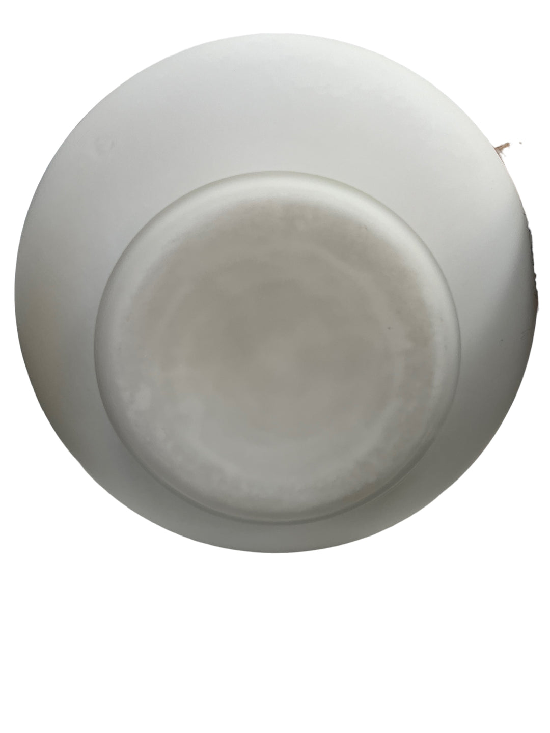 大型花瓶在意大利花朵装饰的Opalin玻璃溶液中