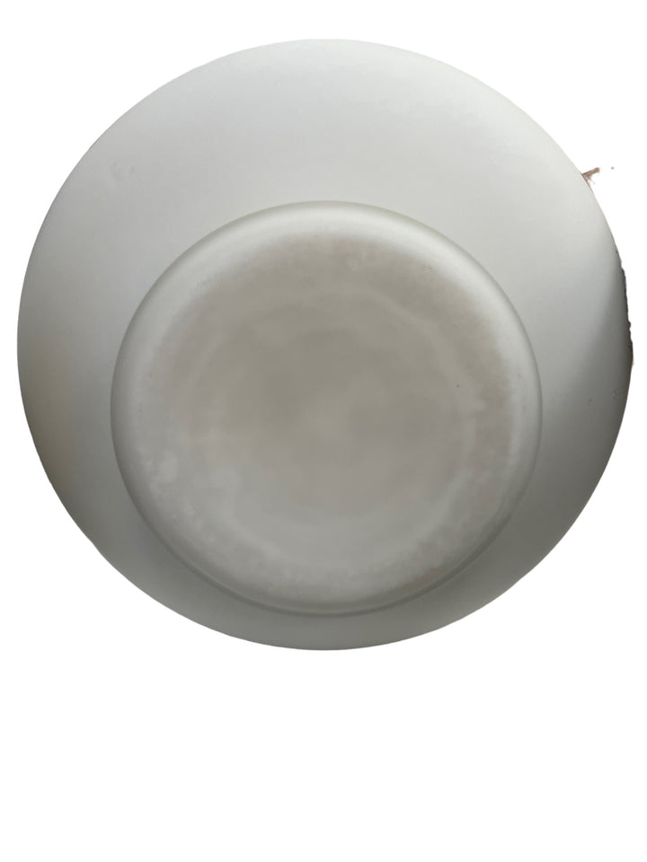 大型花瓶在意大利花朵装饰的Opalin玻璃溶液中